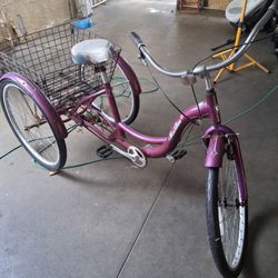 Three Wheeler Bike