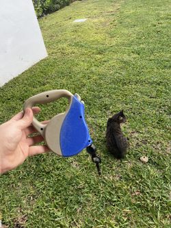 Retractable Leash