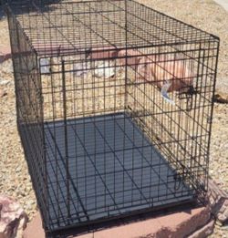Like New Single Door Extra Large 48" Inch Dog Crate Kennel