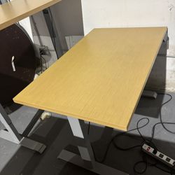 Electric Sit Stand Desk , Office Chairs 