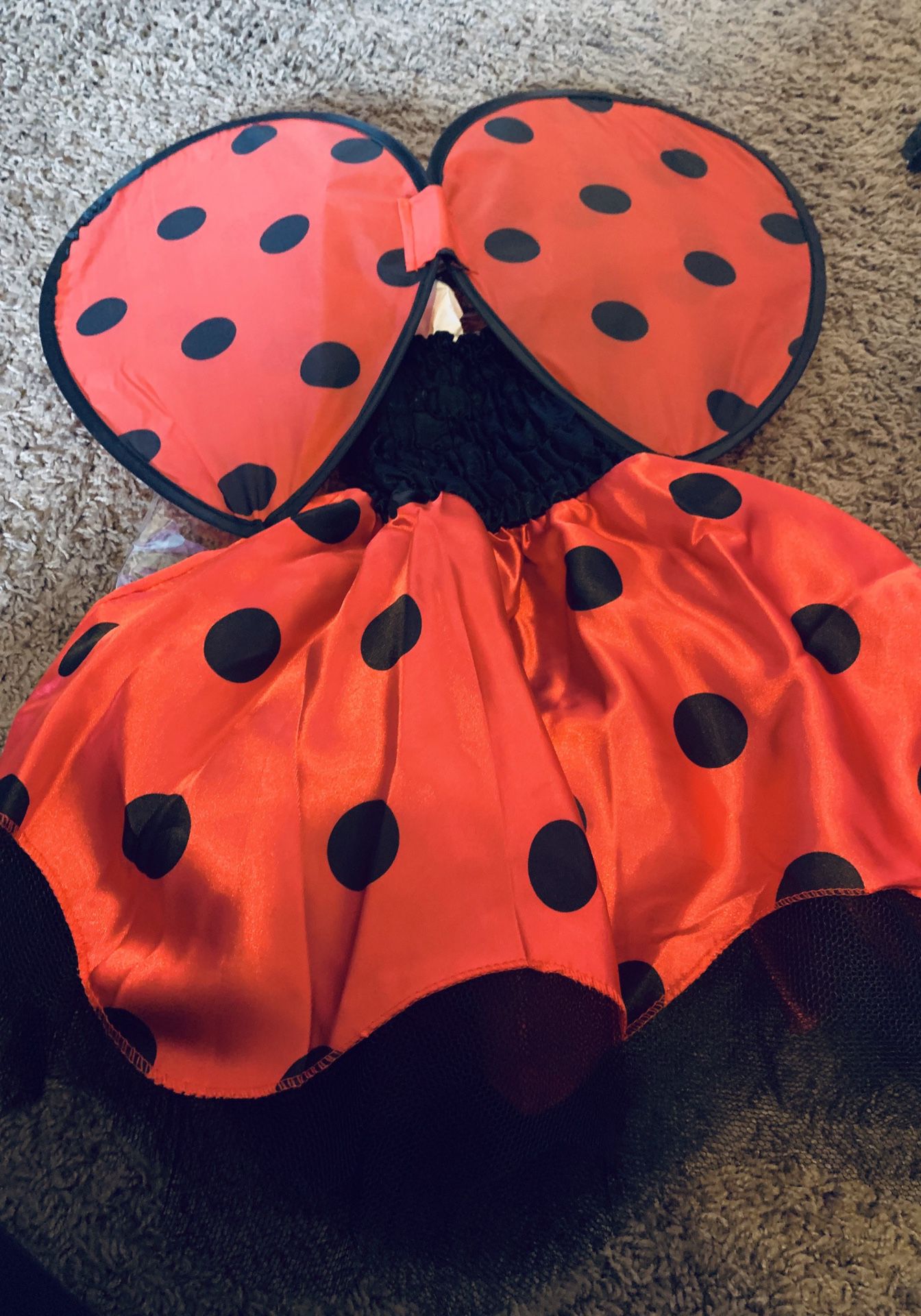 Halloween Costume - size up to 24 months - New