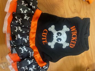 New dog dress