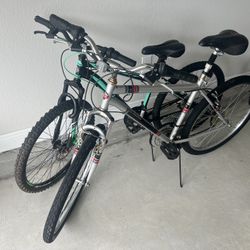 DIY Duo Deal: Two Bikes for the Price of One!