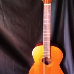 Franciscan Classical Guitar 