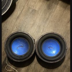 2 12 subwoofers 