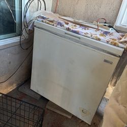 Freezer White used 