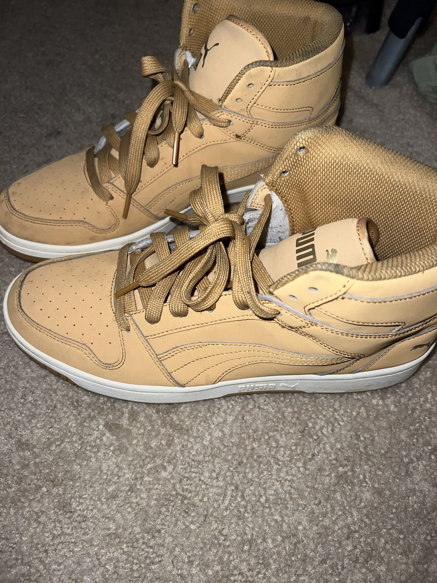 Puma