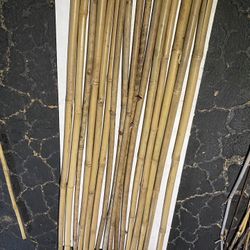 Bamboo Garden Stakes 4'