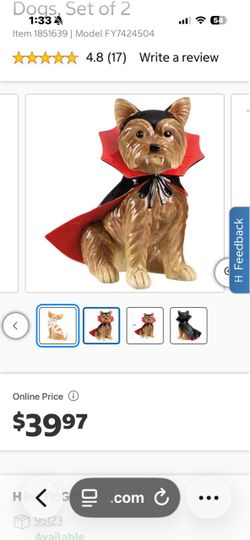 Yorkie-Dracula statue for Halloween