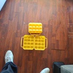 Egg Container 