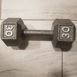30 POUND DUMBELL