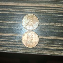 bicentennial  1976 Pennies   WHAT A FIND!