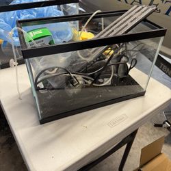 5 Gallon Fish Tank