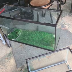 35 gallon fish tank with gravel and filter, no lid