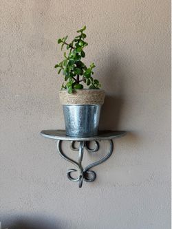 Plant