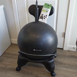 GAIAM Exercise Ball Chair
