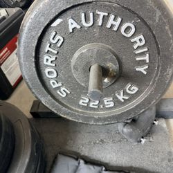 175lb Curl Bar