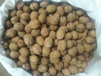 Fresh Chandler Walnuts 1 A Pound Big White Inside Walnuts