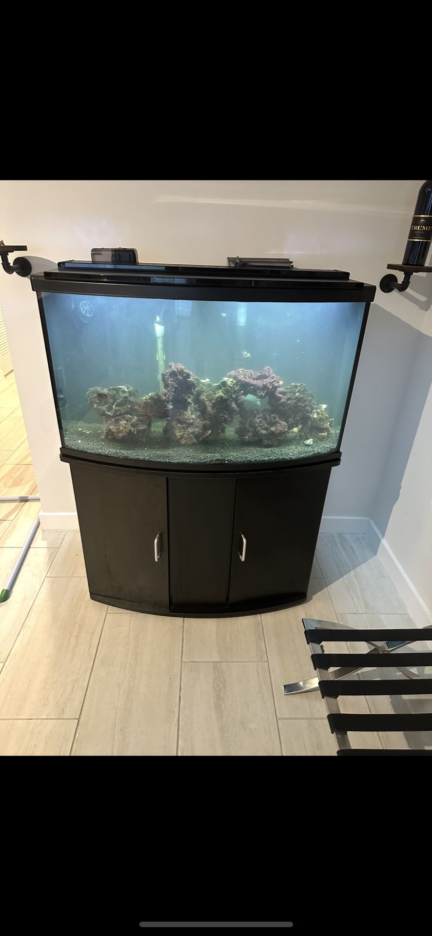 Fluval Aquarium About 40 Gallons Full Set Up