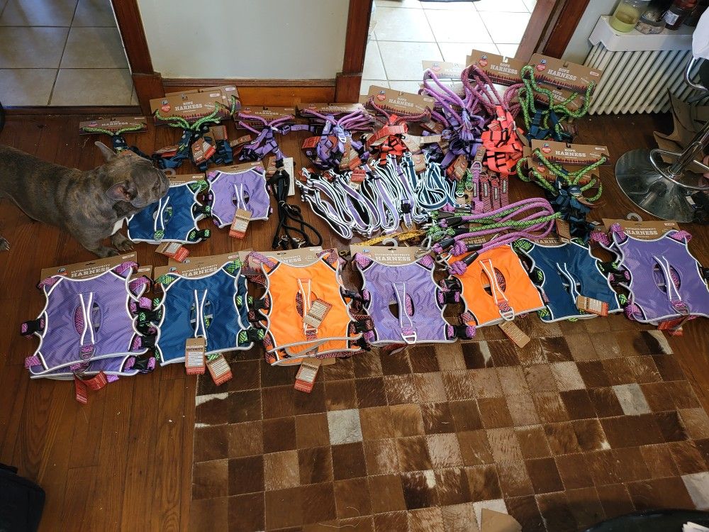 Arcadia Trail Paracord Collars, Harnesses, 4 foot Belt Clip Leashes, Leash waist belt, Rope Harness.