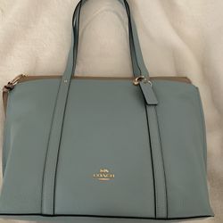 Brand New Spring Time Coach Purse