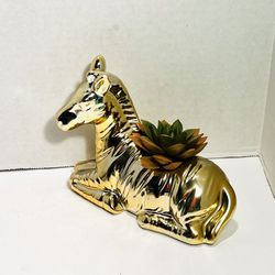 Metallic Gold Color Ceramic Zebra Planter Faux Succulent