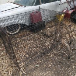 Medium/Large Size Cage