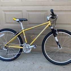 Specialized Rockhopper Mountain Bike