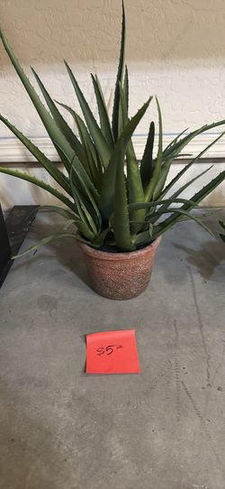 artificial plants