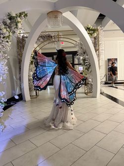 Butterfly dress