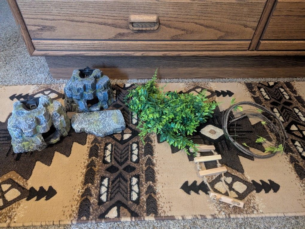 Reptile Habitat With Supplies