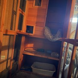 Catio Outdoor Cat Enclosure