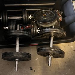 Weights ( Dumbbells )