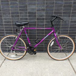 Fuji Nevada 26" 21-Speed City/Commuter/Road Bike Hybrid - Near NEW! - Light 17" Frame - Specialized Cup Holder - Comfort Seat - Tuned (MSRP $400)

