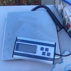 Scale 