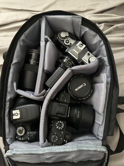 Camera Gear, Canon, Sony