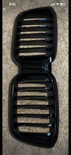 BMW front grille