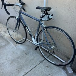 Fuji 1.0 Aluminum Frame / Carbon Fiber Forks 46cm