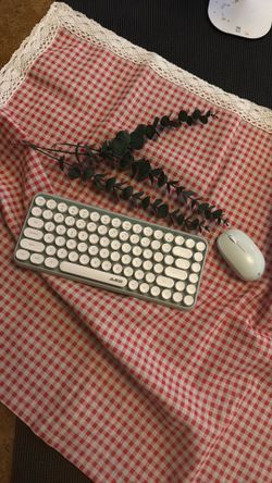 wireless keyboard + wireless mouse