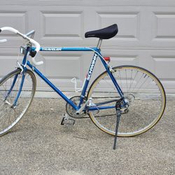 Schwinn Traveler