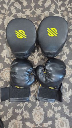 Boxing gloves and focus mits