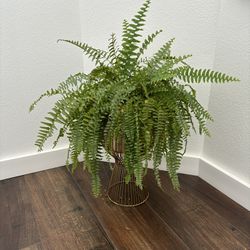 Fern Plant With Gold Wire Planter