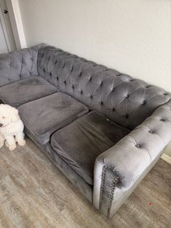 Grey velvet couches
