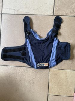 Thunder Shirt for small dog