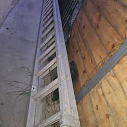 Escalera 40 Pies