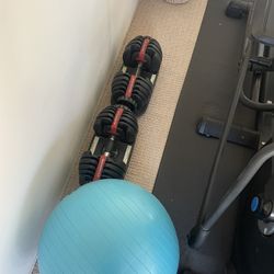 Pair of Bowflex Dumbbells 