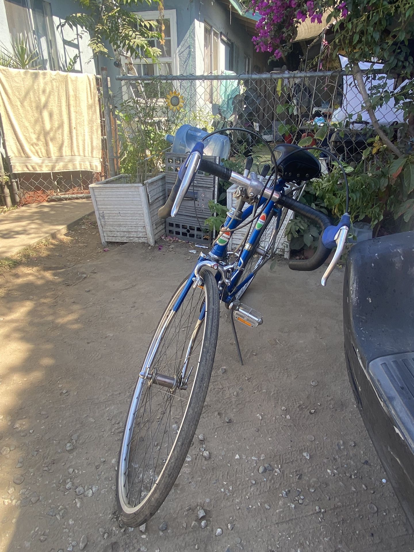 Campania Original Classic Bike