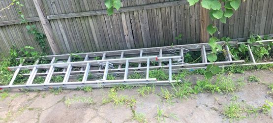 Ladders $100/Both
