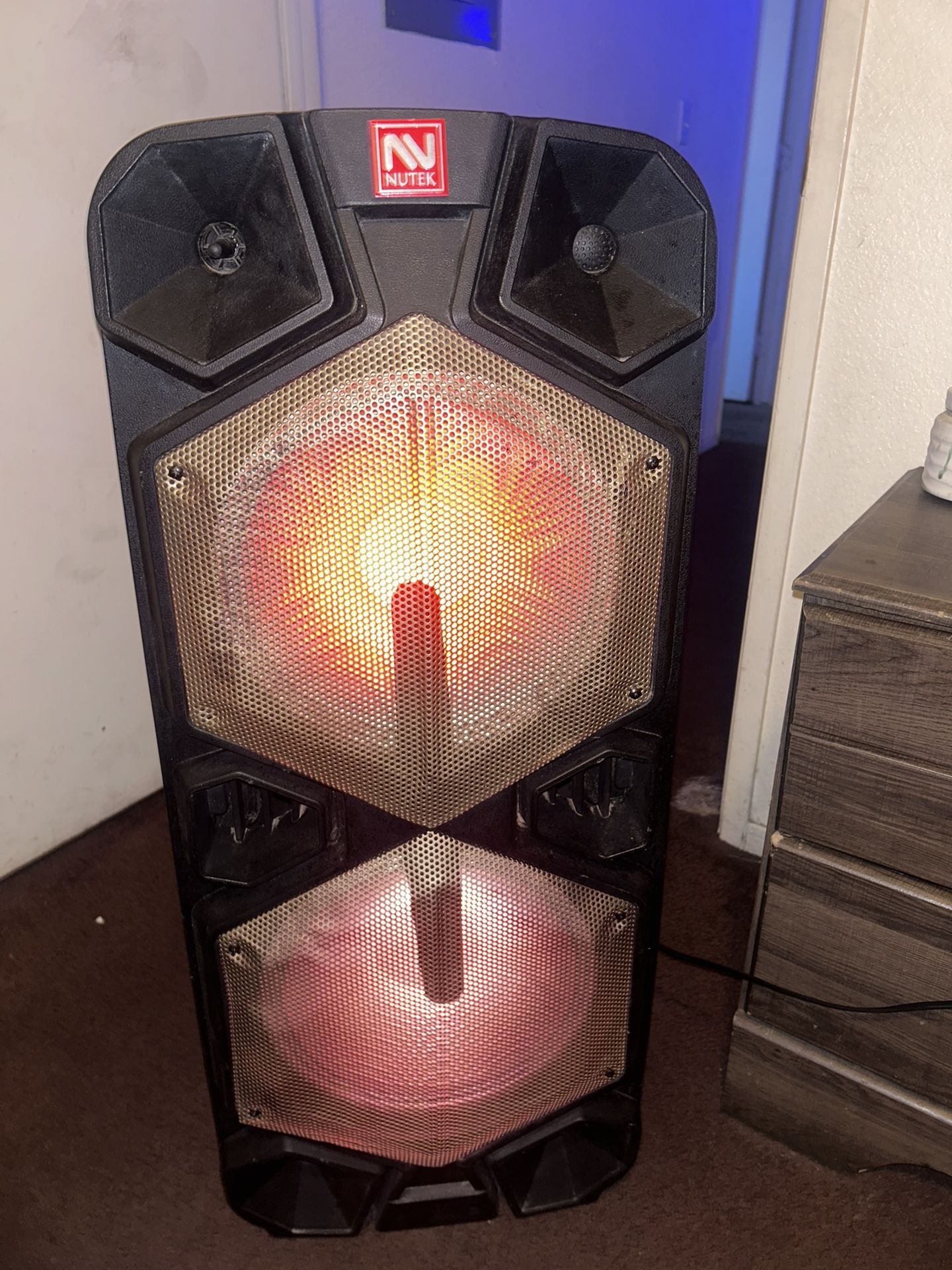 Bluetooth Ready Speaker