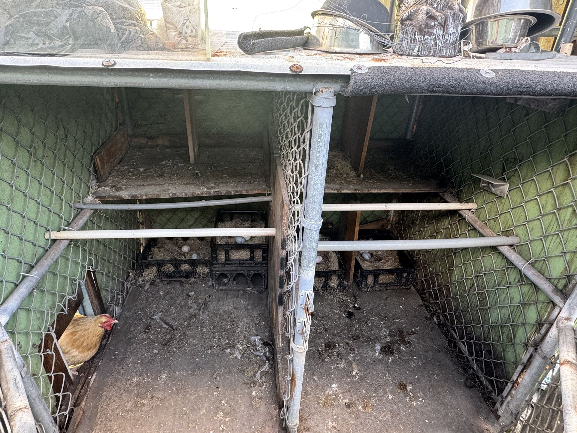 Chicken Coop And Chicken Run